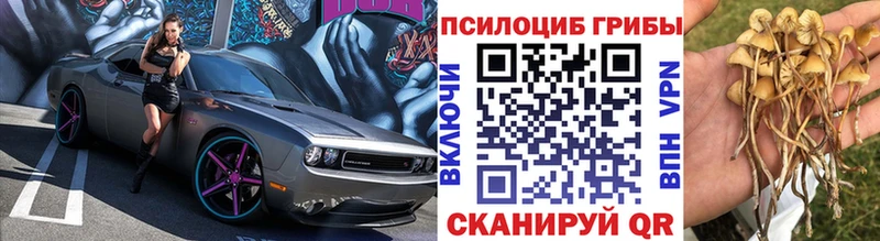 Псилоцибиновые грибы GOLDEN TEACHER  MEGA ссылка  Электросталь  купить  